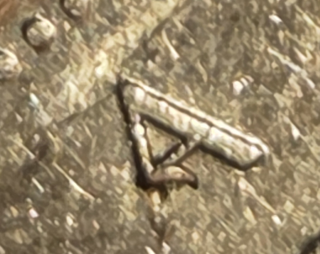 2016-Caribou-Quarter---Possible-Die-Break-On-'A'-In-Canada