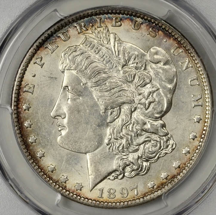 Guess-The-Grade-1897-O-Morgan