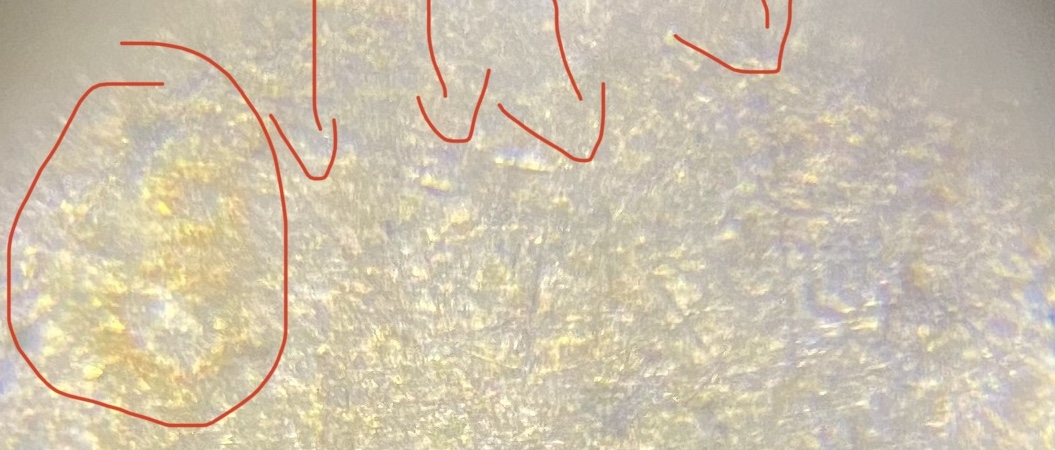 1993-Lincoln-Cent-Error-Coin