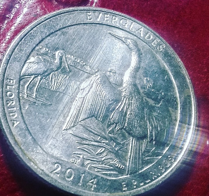 2014-Florida-Everglades-State-Quarter-Error-Puking-Bir-Of-The-Glades?