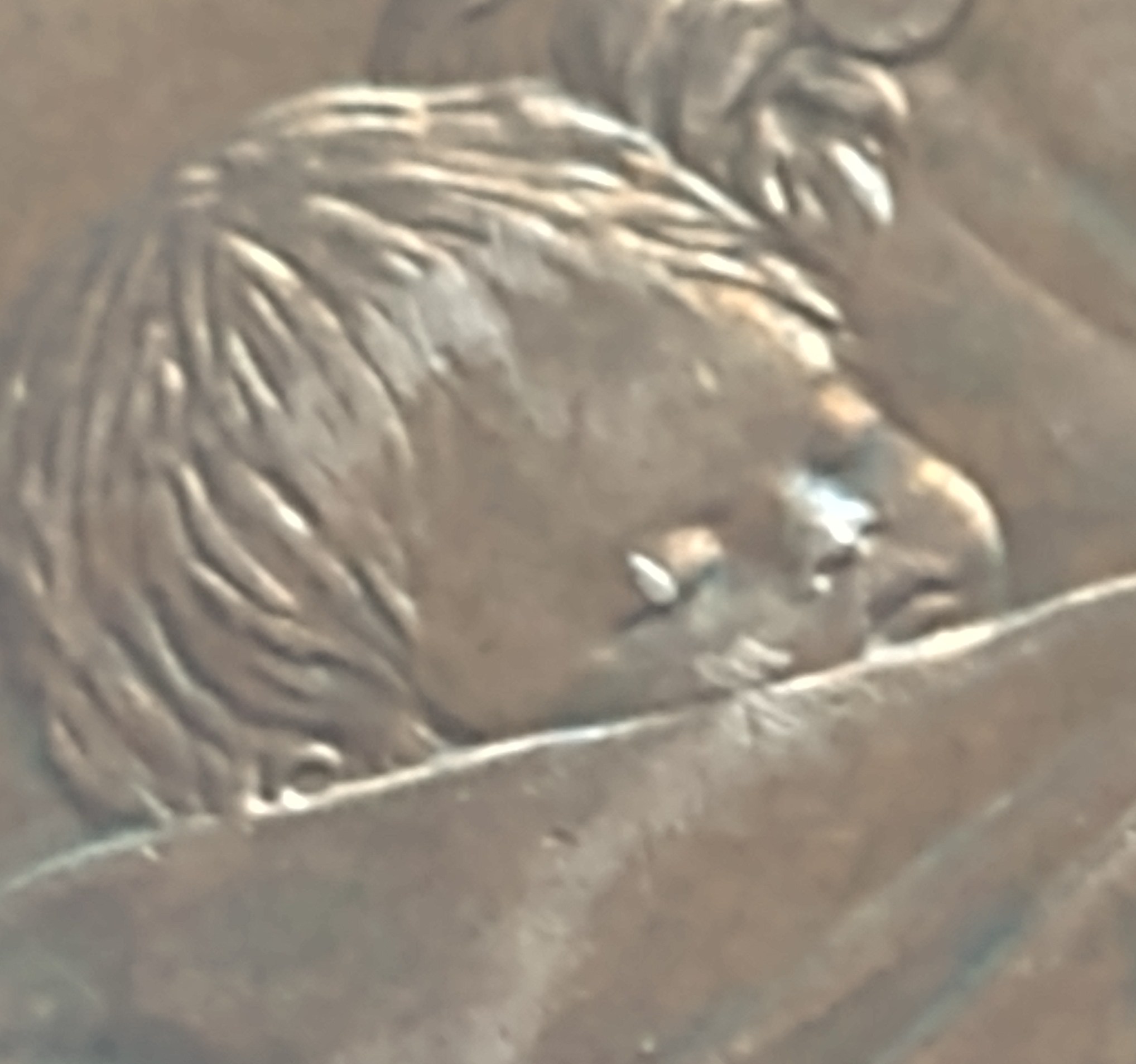 Sacagawea-Dollar-Any-Thoughts-Are-Appreciated.-2000-D