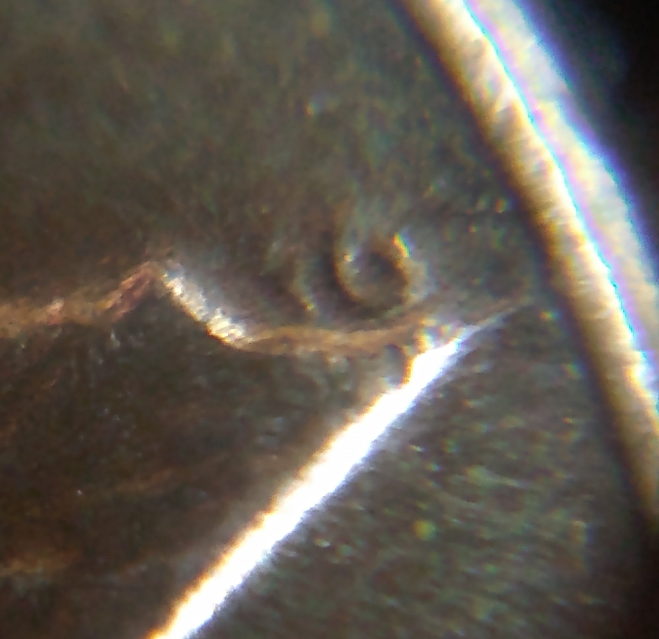 My-Latest-7-11-Penny-Find-1980