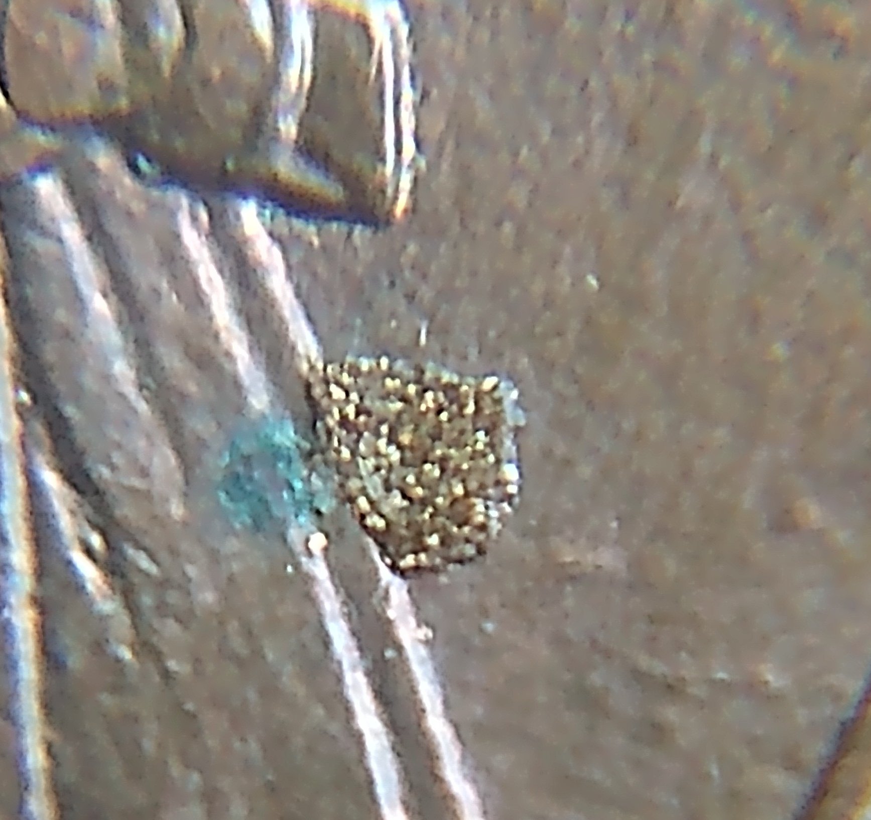 Found-This-1993-D-Penny-And-It's-Peculiar.-Any-Thoughts?
