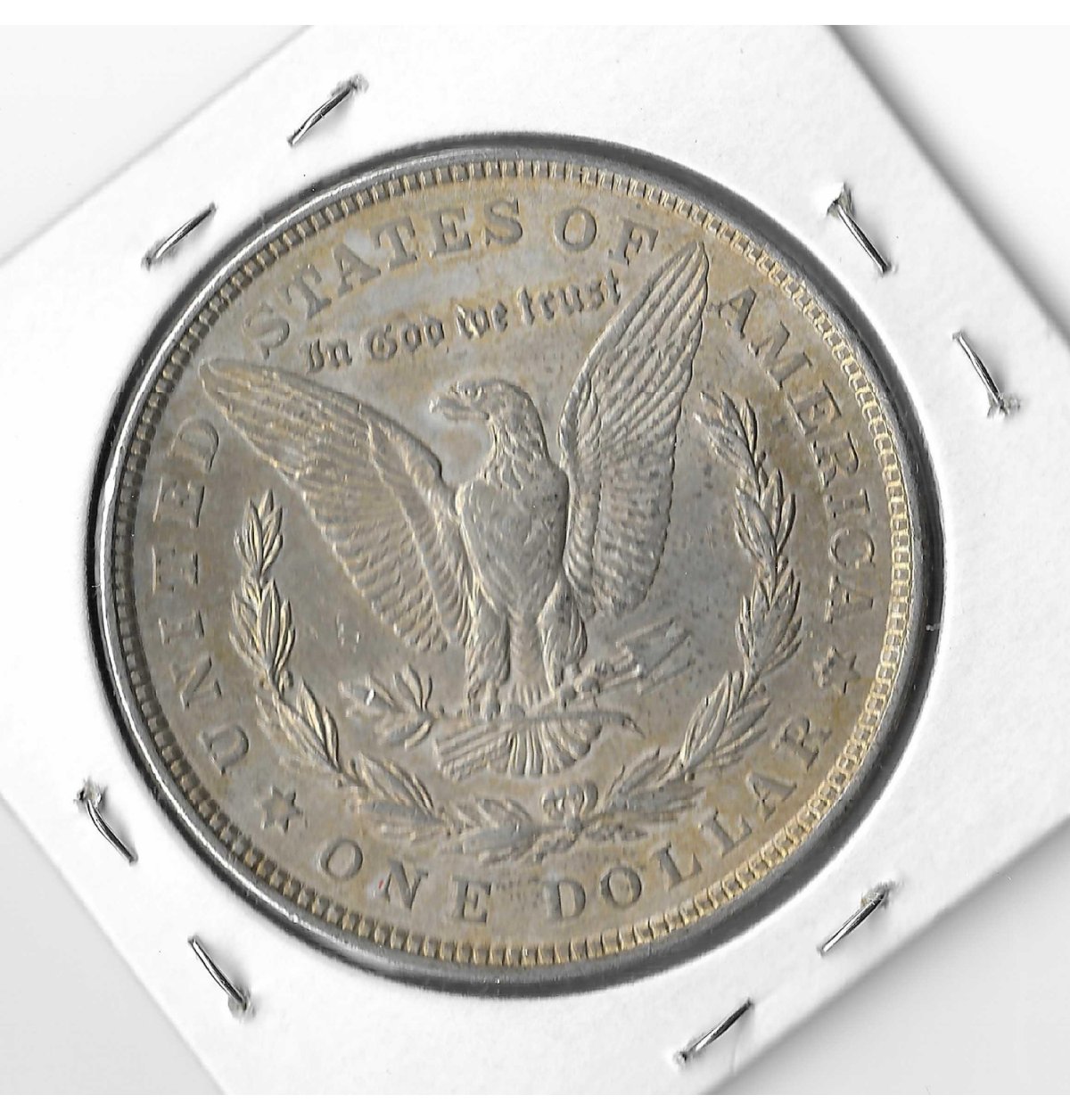 New-To-Me-1921-Morgan-Acquired-From-A-Family-Member-Passing