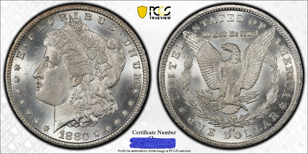 I-Got-My-1880-CC-Back
