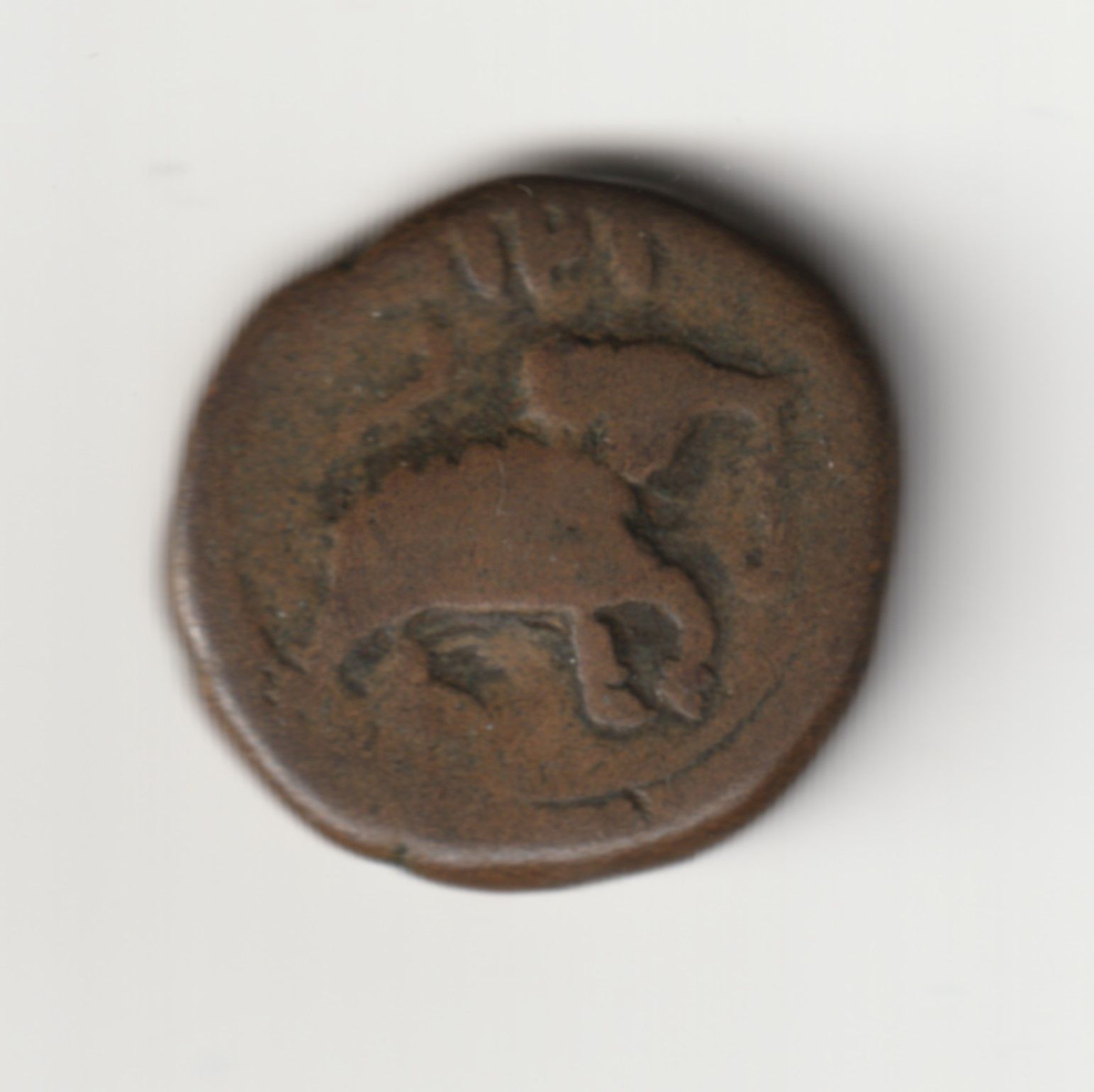 Tīpū-Sultān-Era-Elephant-Advancing-Right---Howdy-Y'all