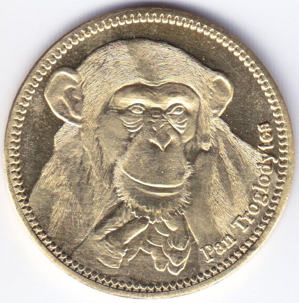 Post-Your-Coins-With-Monkeys,-Apes-And-Other-Primates