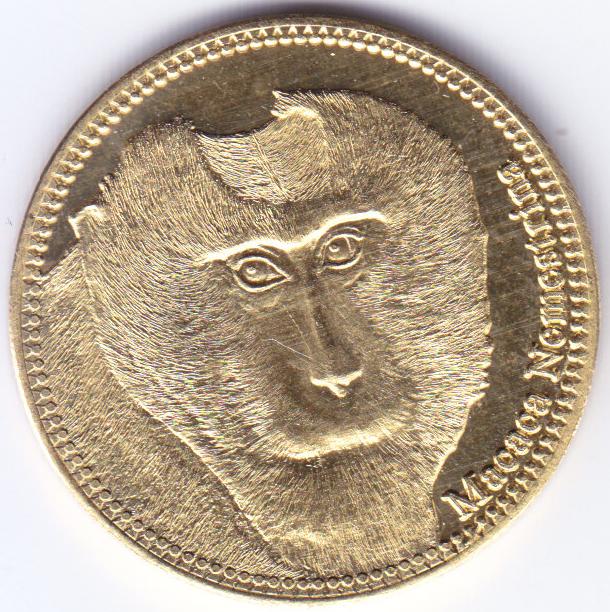Post-Your-Coins-With-Monkeys,-Apes-And-Other-Primates