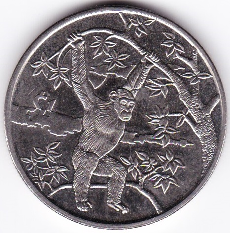 Post-Your-Coins-With-Monkeys,-Apes-And-Other-Primates