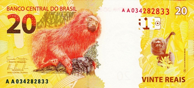 Monkeys-And-Other-Primates-On-Banknotes
