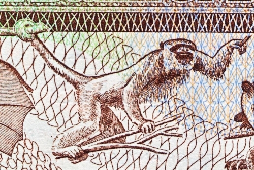 Monkeys-And-Other-Primates-On-Banknotes