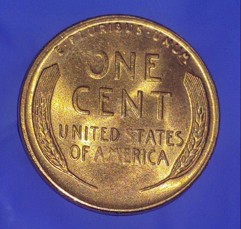 1955-DDO-Or-MS-?-Any-Insight-Would-Help