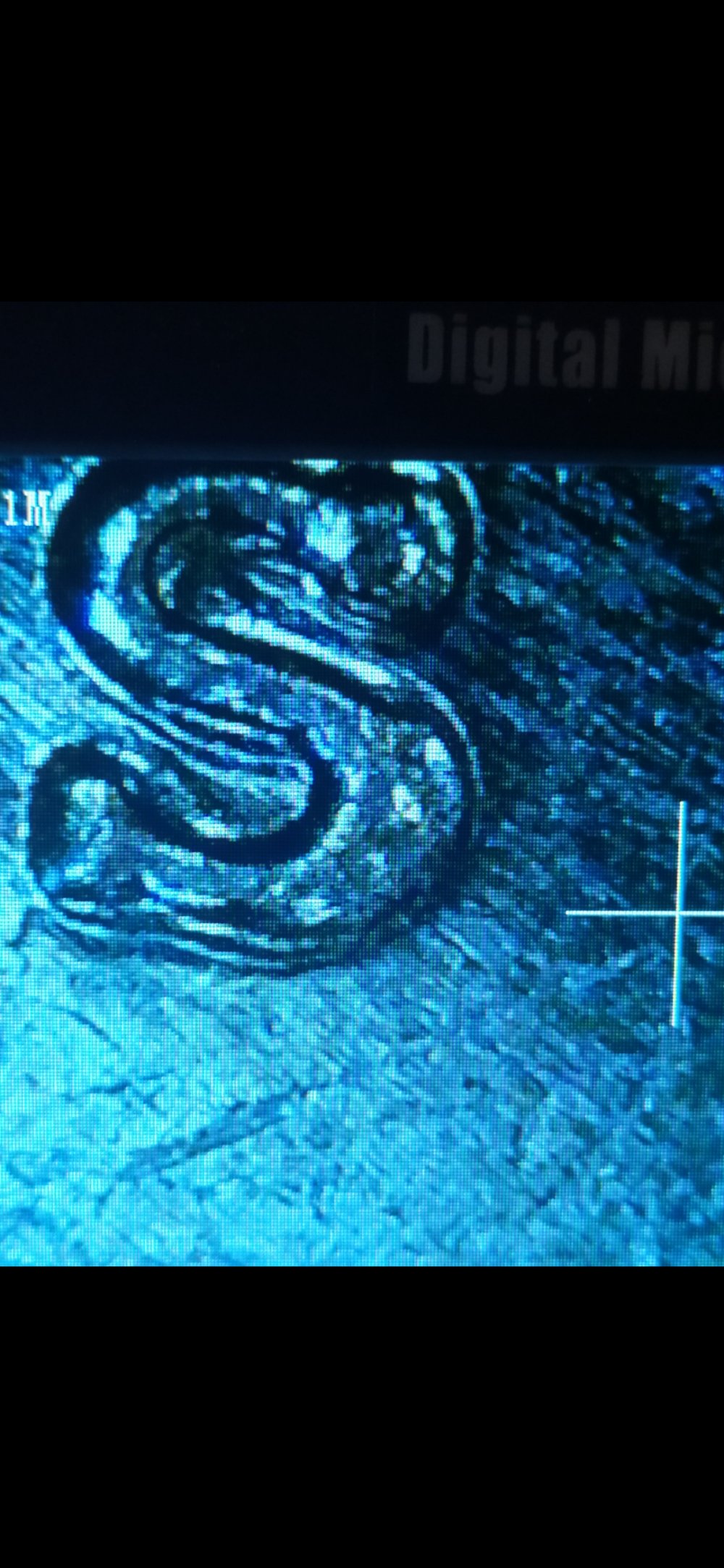 2014-S-Florida-Everglades-Quarter-,-Help-Please-!