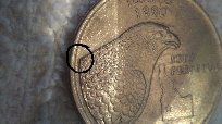 2007-Idaho-State-Quarter-With-Die-Chips-&-Breaks