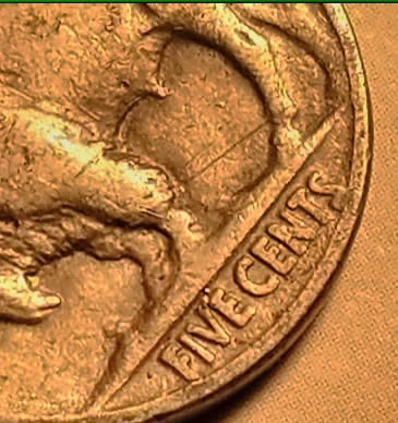 1936-P-Buffalo-Nickle,-Possible-Double?-What-Do-You-Say?