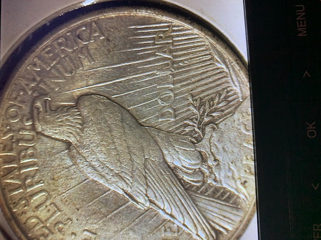 1921-Peace-Dollar---Grade-And-Error?