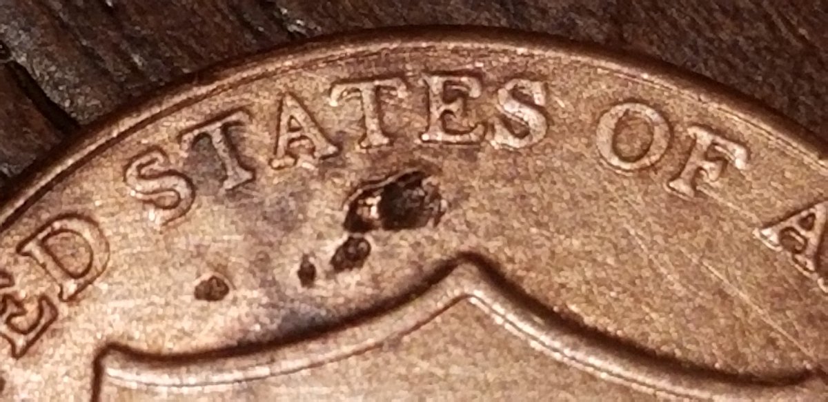 2019-Lincoln-Shield.-Unknown-Characteristics