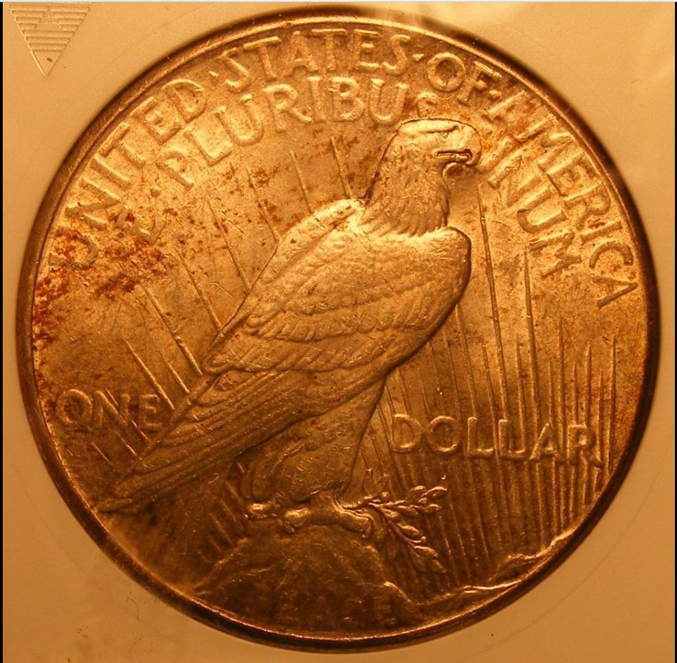 Opinion-On-This-Partially-Toned-1928-Peace-Dollar?