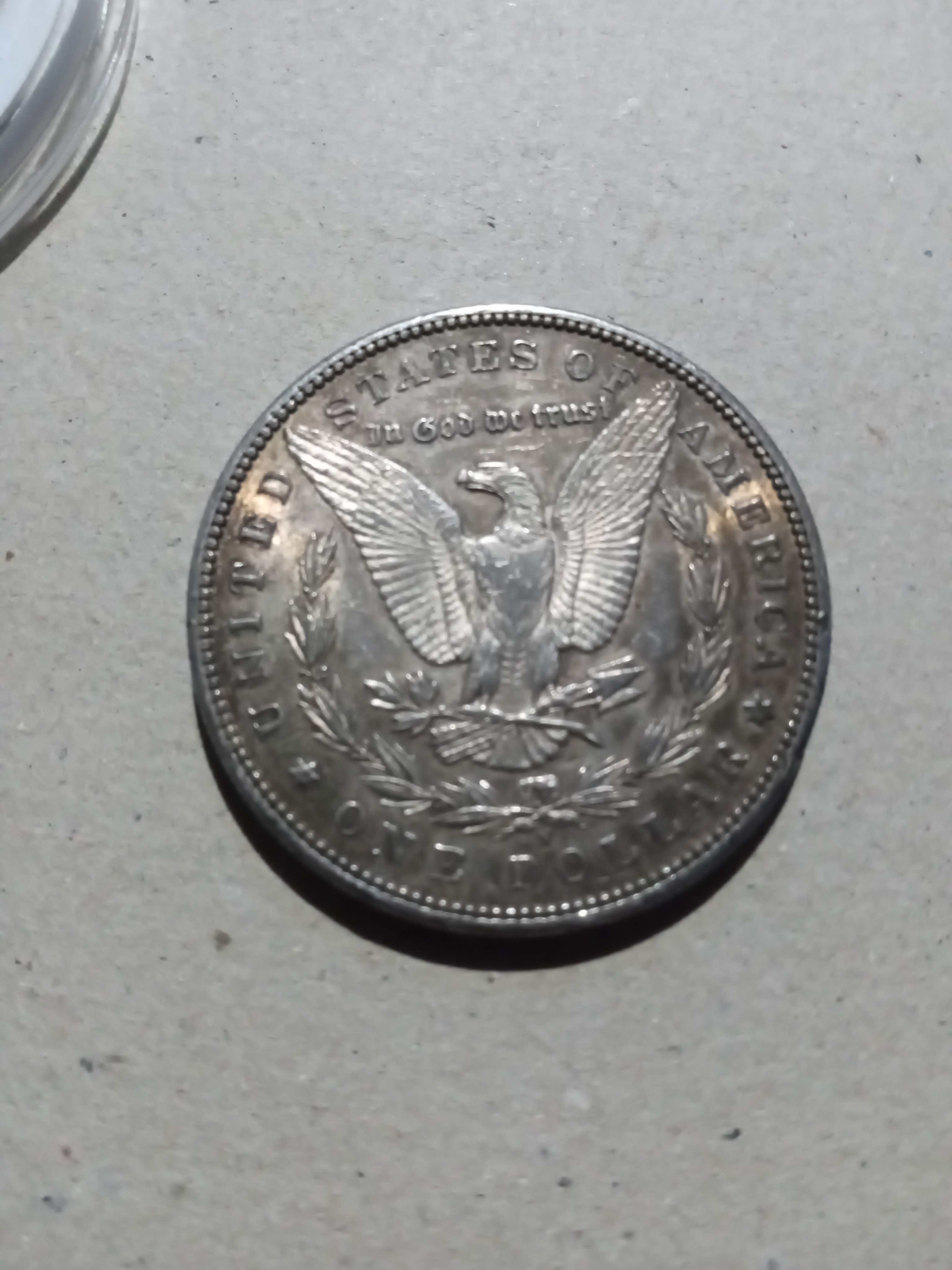 Potential-Of-My-Morgan-Dollars