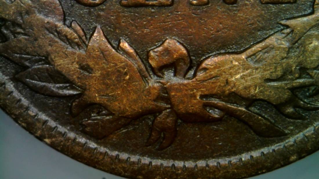 1891-Indian-Head-Penny-Grading-Help