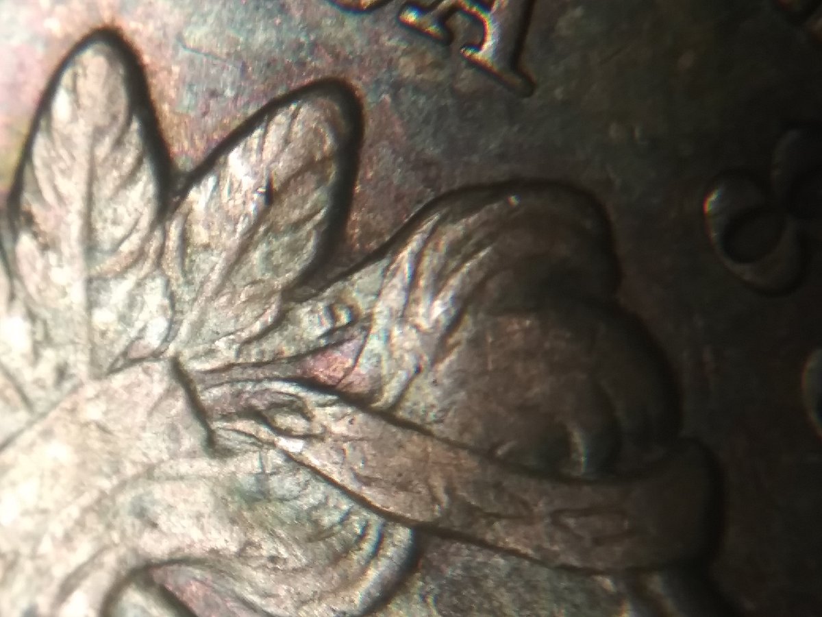 1891-IHC.-Double-Feathers-Double-Ll