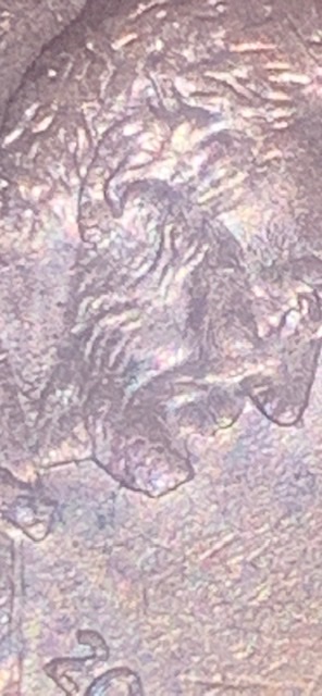 2008-Lincoln-Cent-Looks-Like-A-Pimple-On-His-Chin