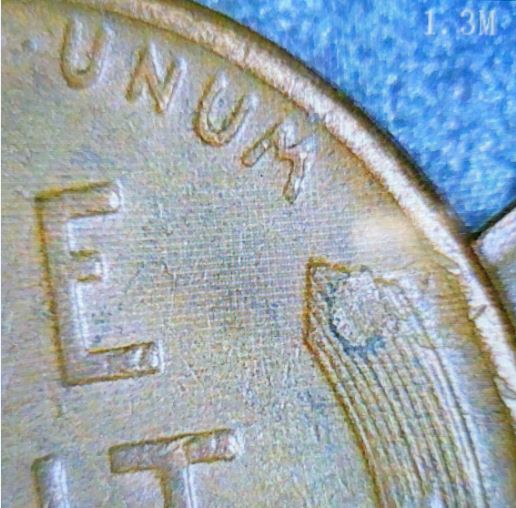 Found-Searching-Pennies---1956-D-Wheat-With-A-Weevil