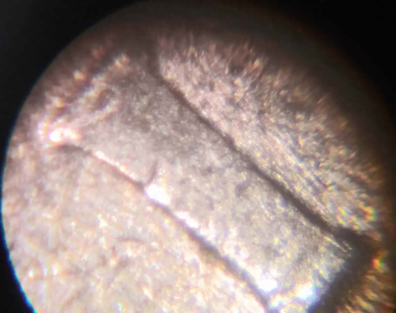 1983-P-Quarter.-No-Lip-To-Nose-Connection-And-Nostrile-Is-Completely-Missin