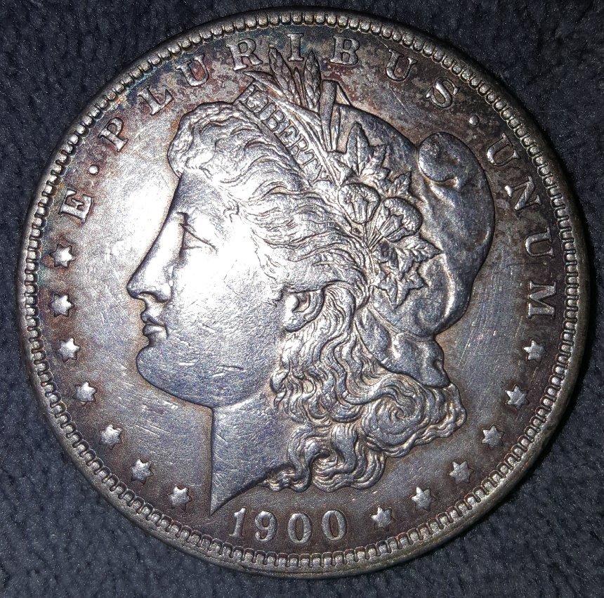 Grade-1900-Morgan-Please