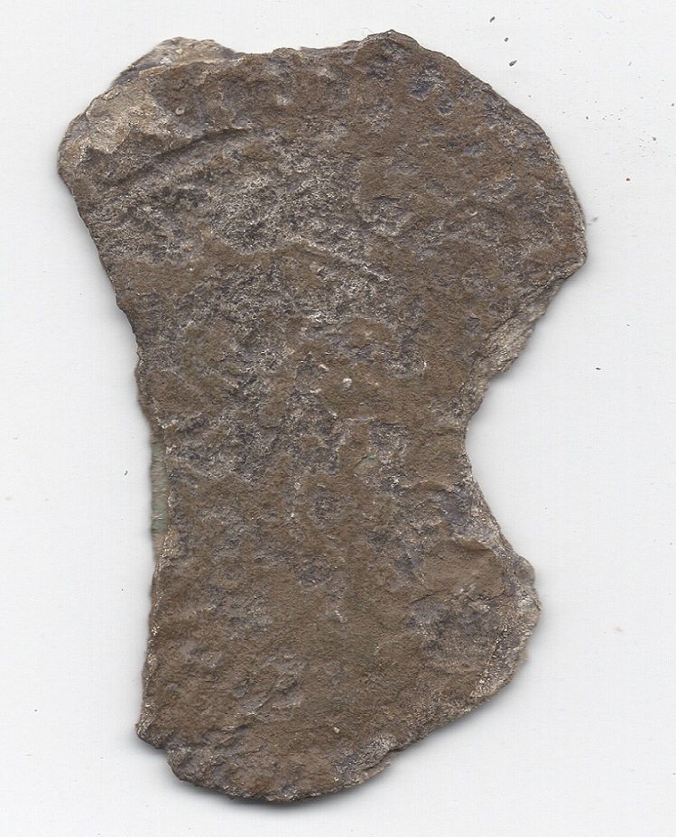 Germany-Seemingly-Very-Old-Damaged-Coin-Found-On-Farmers-Field,-What-Could-Be-Its-Identity?