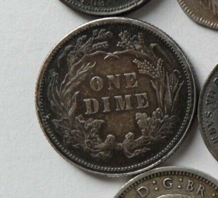 Grade-Considerations-For-1879-Dime-Ebay-Snipe!