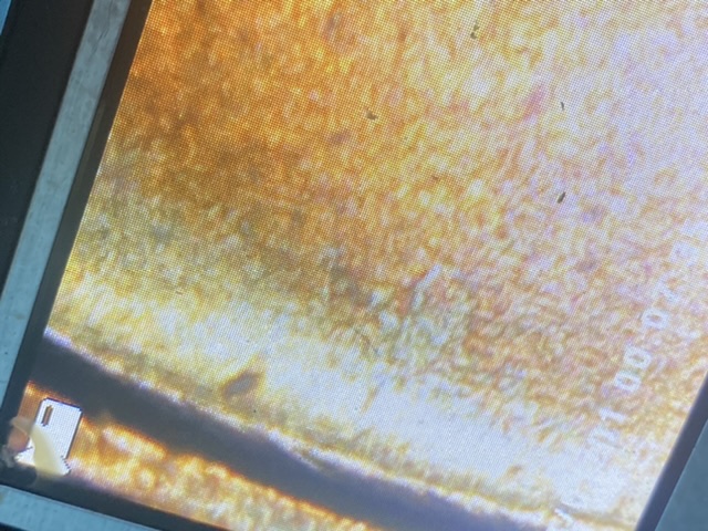 Trying-To-Verify-This-Is-1972-DDO-Fs104?