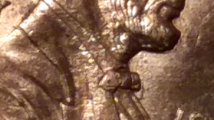 Is-This-1999--Lincoln-A-Doubled-Die,-Help?