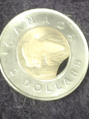 New-Guy-With-A-Clipped-Toonie