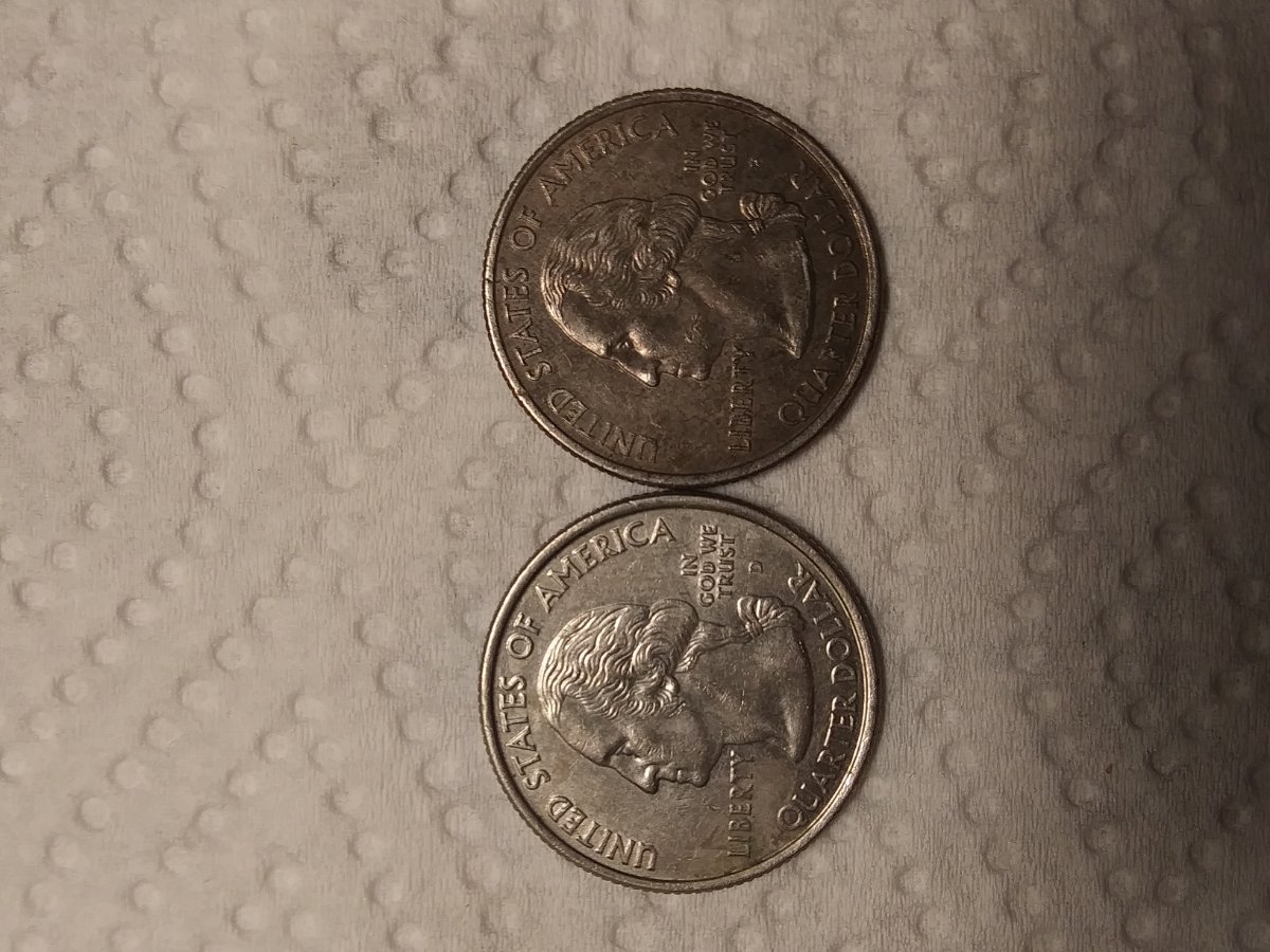 New-Mexico-State-Quarter-Possibly-Black-Beauty-On-The-Right?