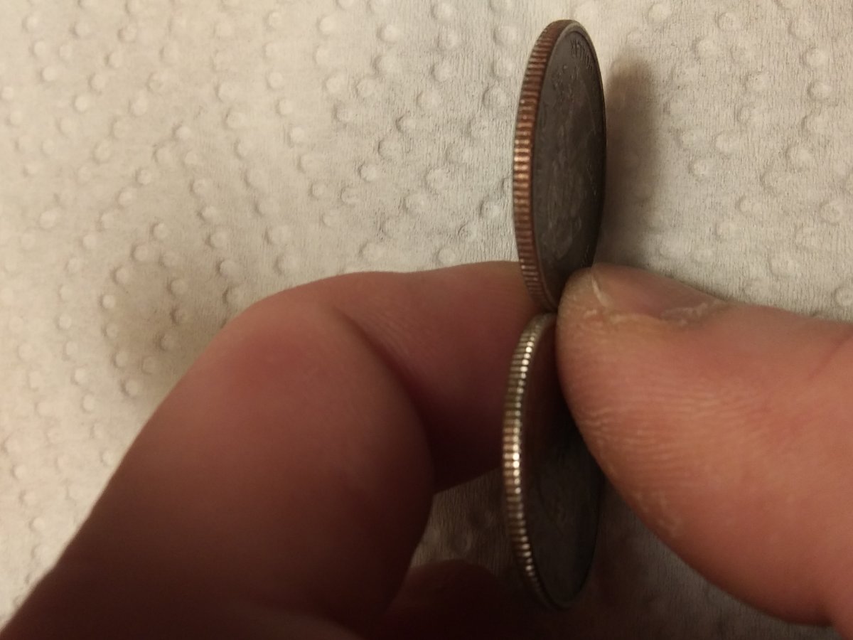 New-Mexico-State-Quarter-Possibly-Black-Beauty-On-The-Right?