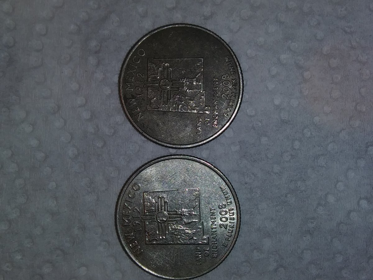 New-Mexico-State-Quarter-Possibly-Black-Beauty-On-The-Right?
