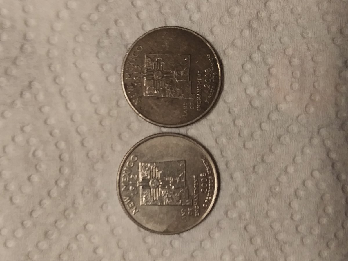 New-Mexico-State-Quarter-Possibly-Black-Beauty-On-The-Right?