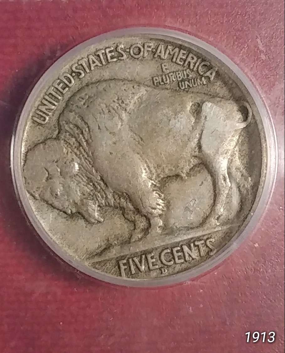 Grade-Opionions-On-Buffalo-Nickels-1913-35-By-All-4-TPG's