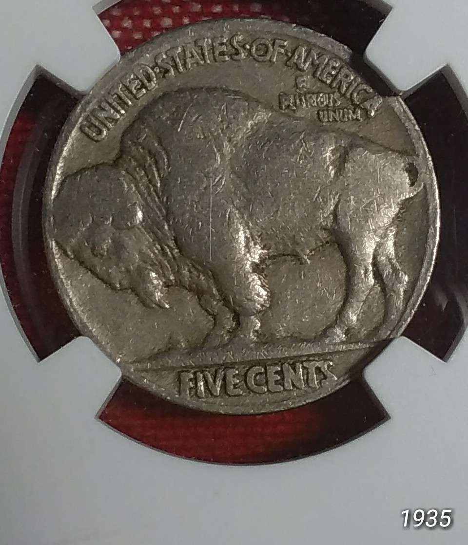 Grade-Opionions-On-Buffalo-Nickels-1913-35-By-All-4-TPG's