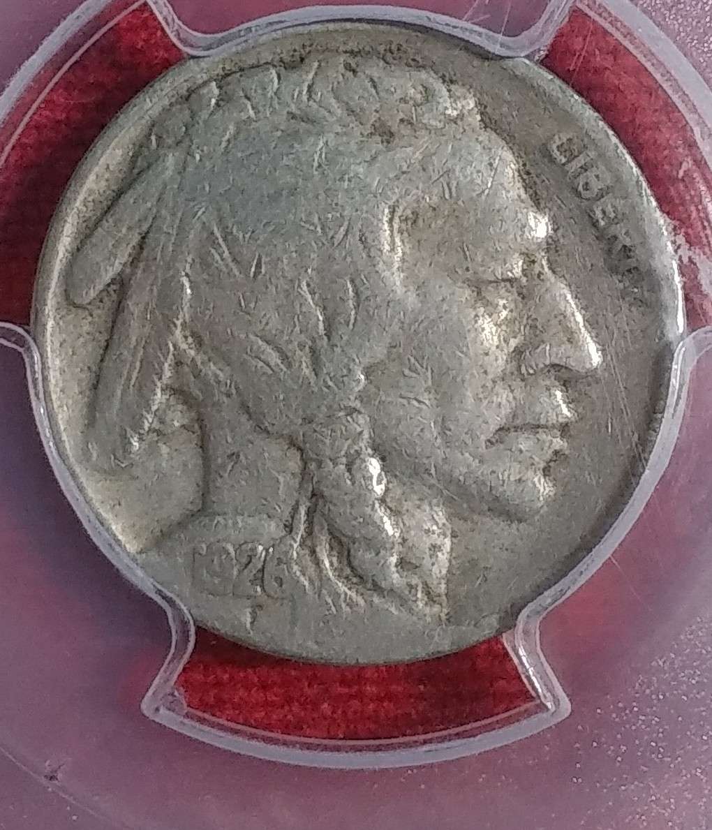 Grade-Opionions-On-Buffalo-Nickels-1913-35-By-All-4-TPG's