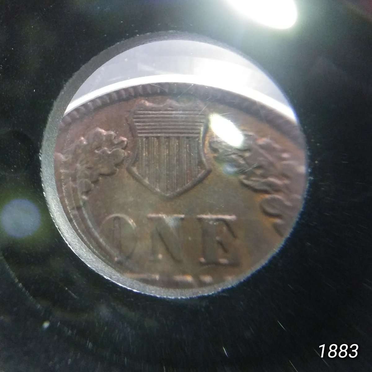 1881-Indian-Head-Cent-You-Vs-PCGS