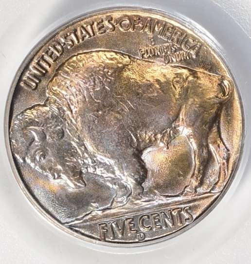 1938-D-Buffalo-Nickel-Grade-Opions-Solicited