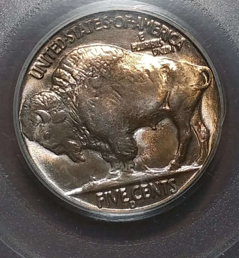 1938-D-Buffalo-Nickel-Grade-Opions-Solicited