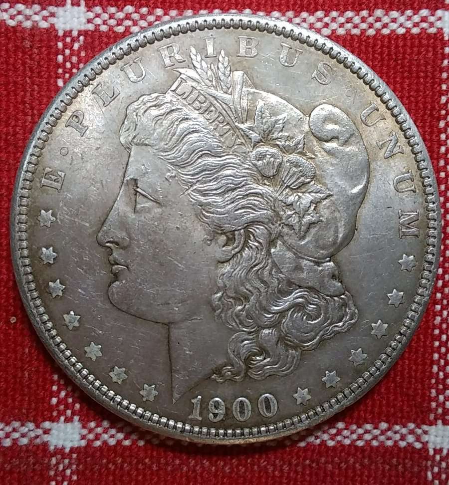 1900-Morgan-Dollar-VAM-11-Doubled-Wing-Grade-Opinion's