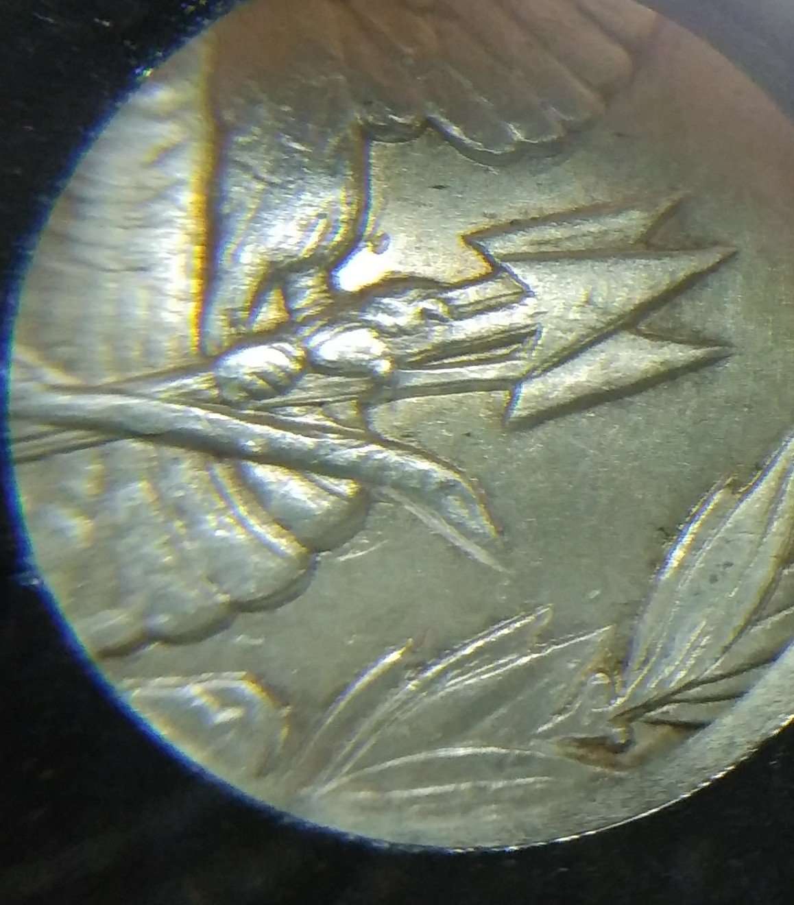1900-Morgan-Dollar-VAM-11-Doubled-Wing-Grade-Opinion's