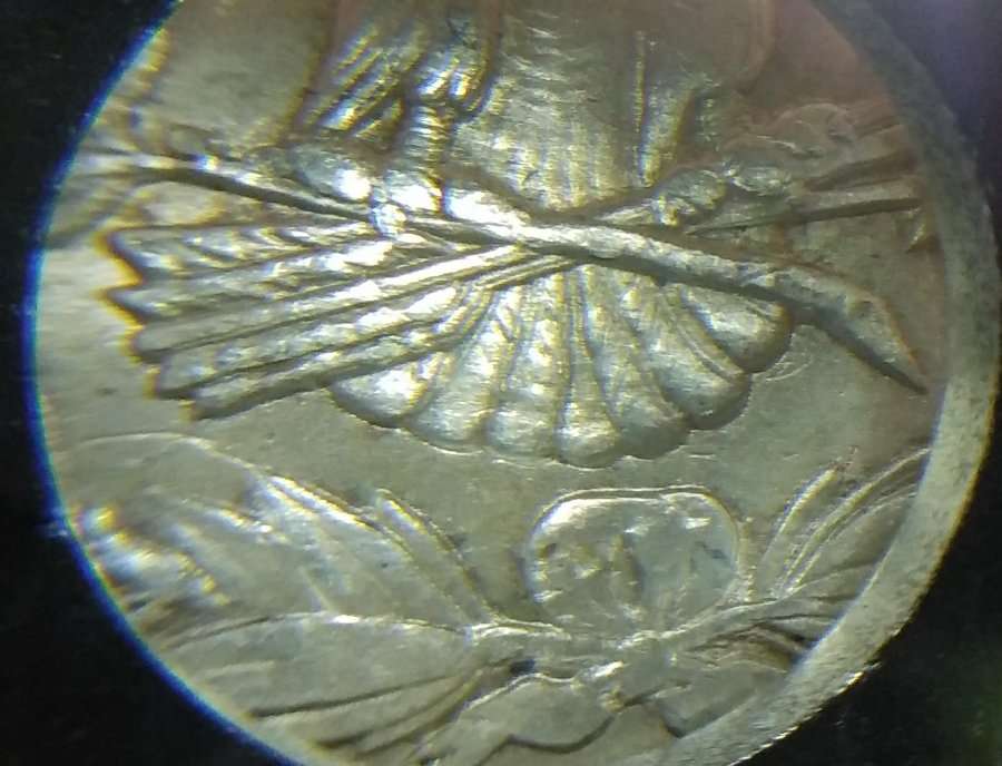 1900-Morgan-Dollar-VAM-11-Doubled-Wing-Grade-Opinion's