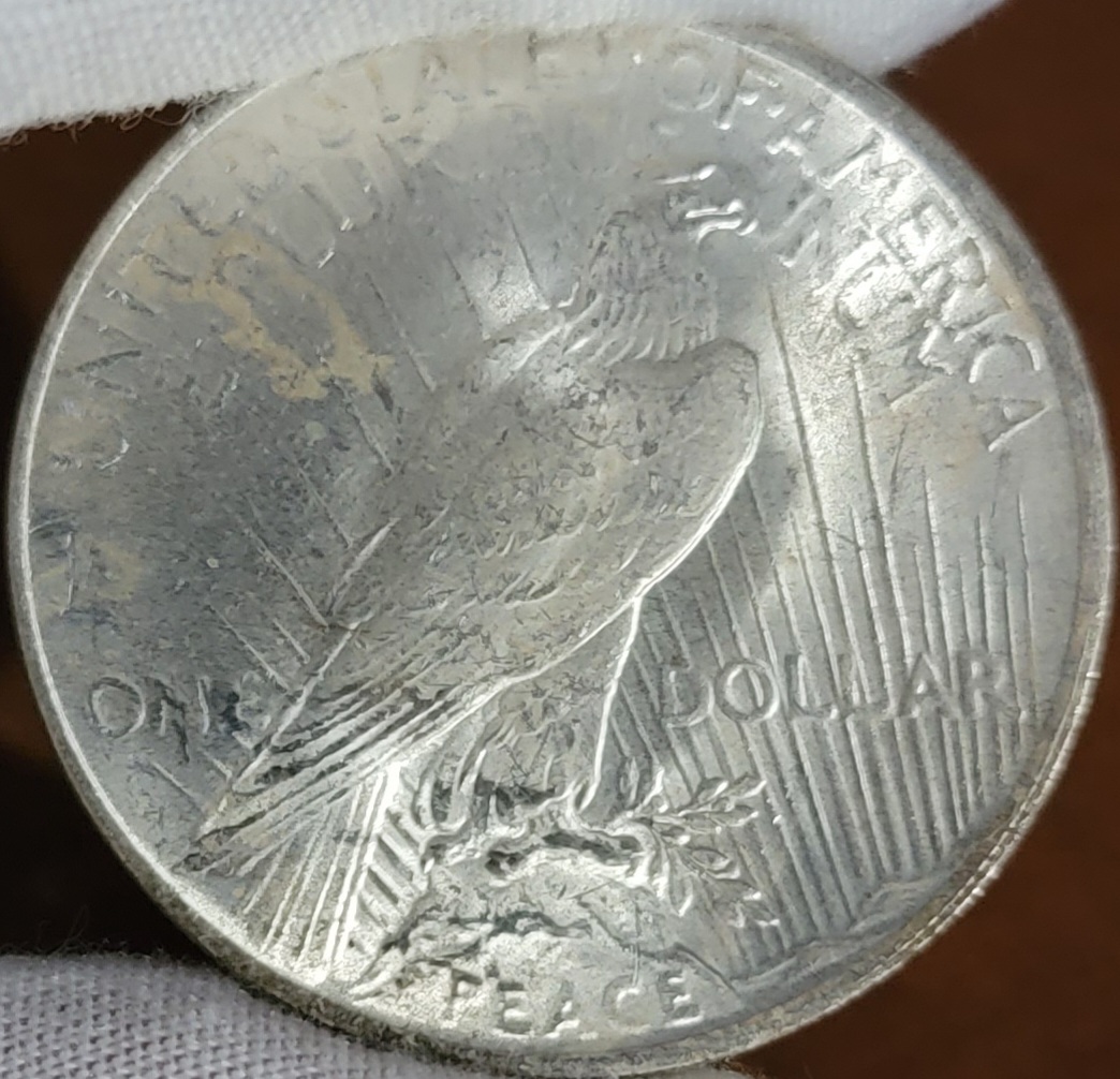 1922-Peace-Dollar,-Opinions?