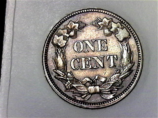 Consignment-Shop-Purchase