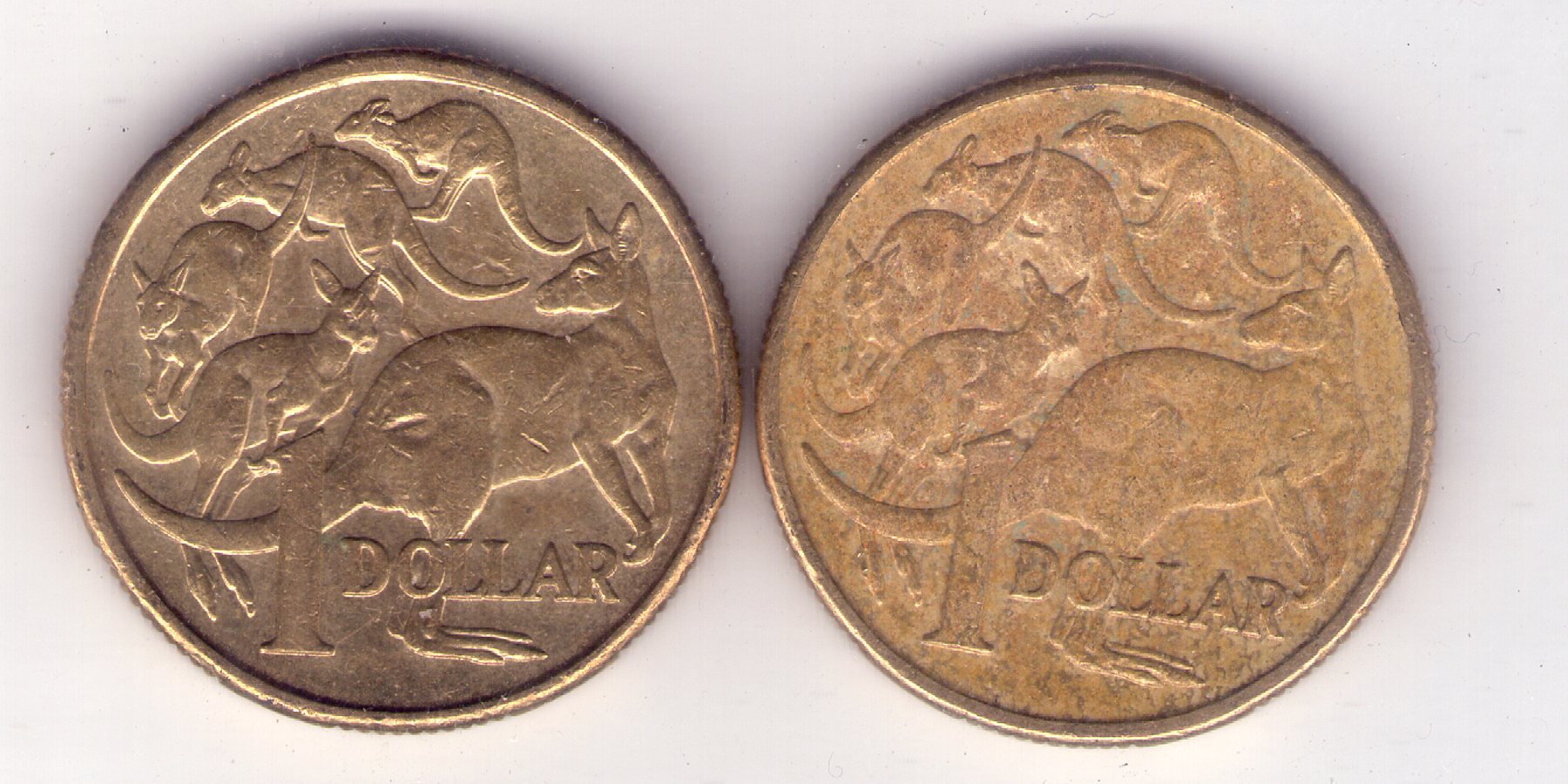 The-Big-Noodle:-Australian-1-Dollar-Coins